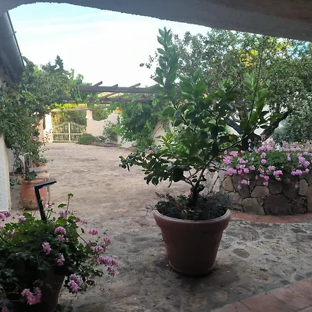 Paradiso Con Piscina - Santa Teresa di Gallura